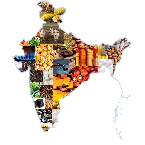 agri commodities india