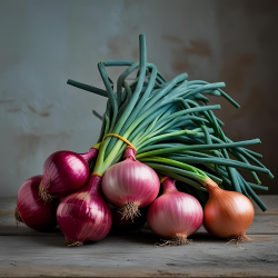 Onions Onions